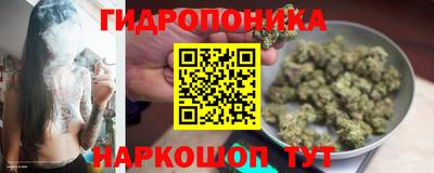 молекула духа Заволжье