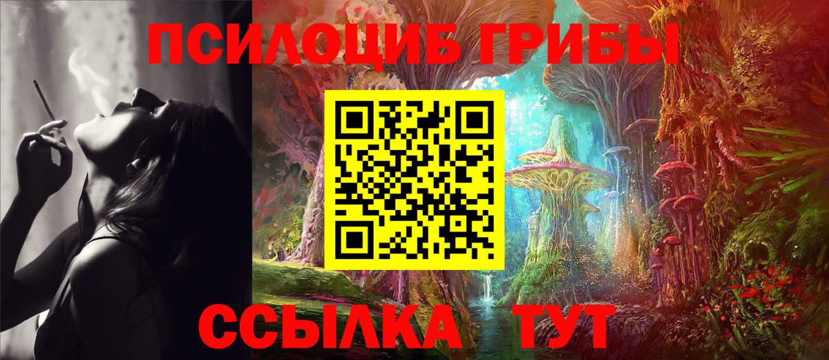Псилоцибиновые грибы Psilocybe Ярославль