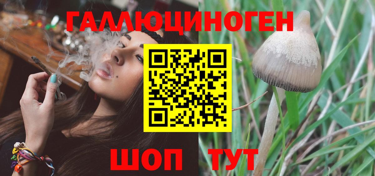 Галлюциногенные грибы MAGIC MUSHROOMS  Вход с VPN  сколько стоит  Ярославль 